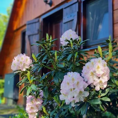 Dovolenkový dom Utulna Pri Richnavskych Jazerach